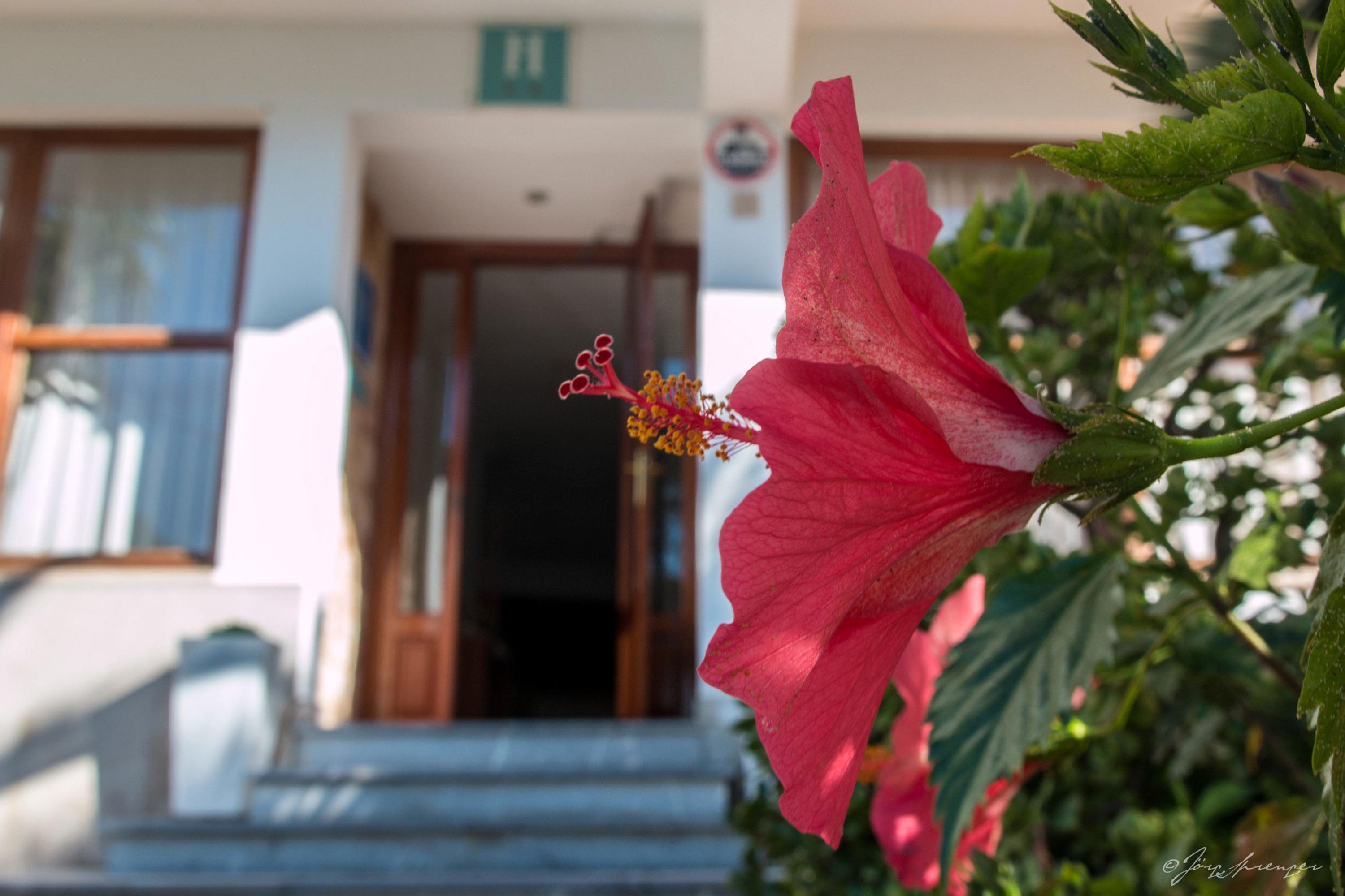 Hotel Santanyi Port Кала Фигуера Экстерьер фото